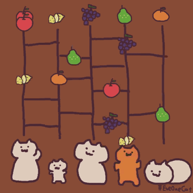 「fruits!」