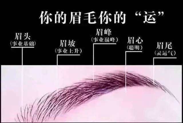 哪些眉毛会减弱运势呢?