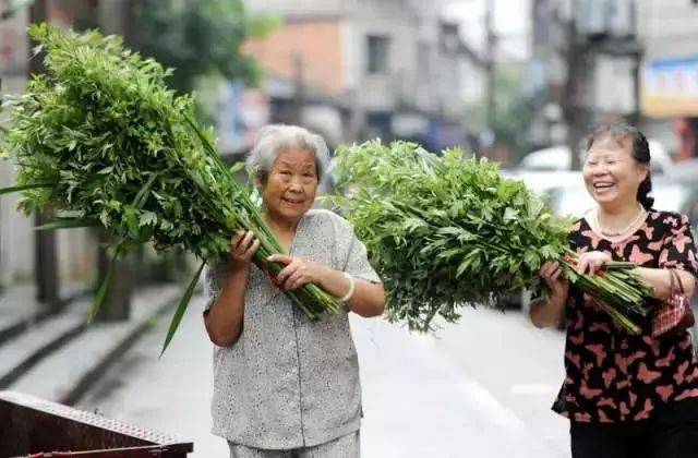 端午的艾草千万别扔!加一物专治颈肩腰腿痛!试过都说神!