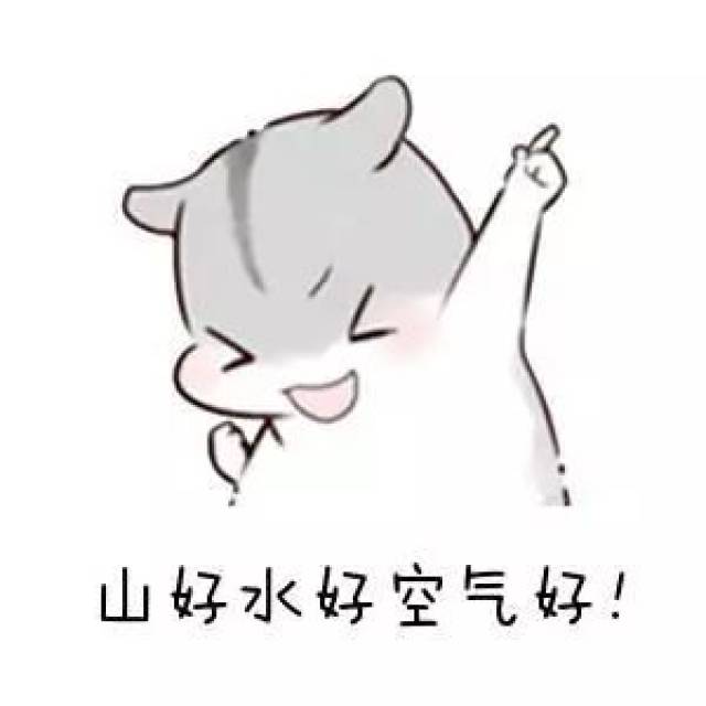确认过眼神,你就是我在找的刷屏利器!-搞笑频道-手机