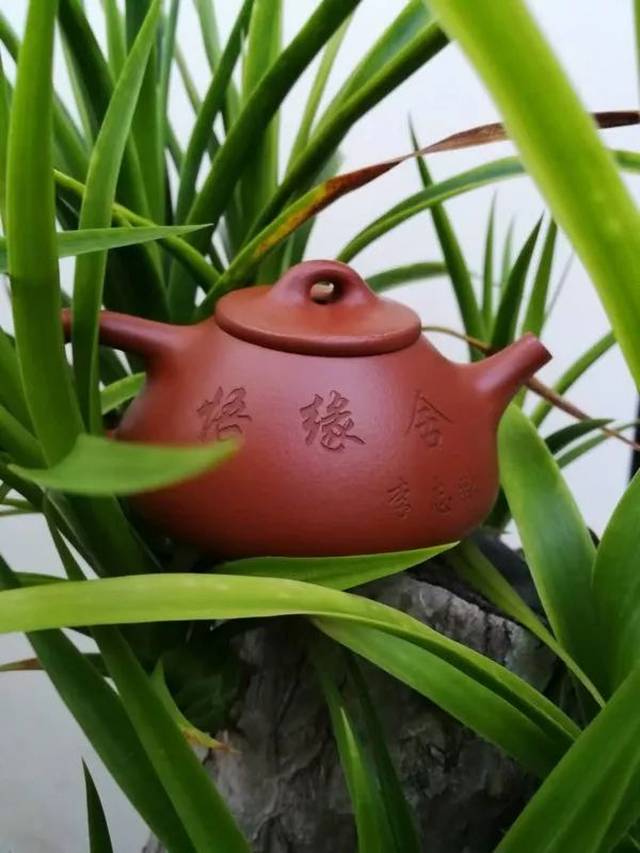 悟缘舍 邀您欣赏紫砂之美