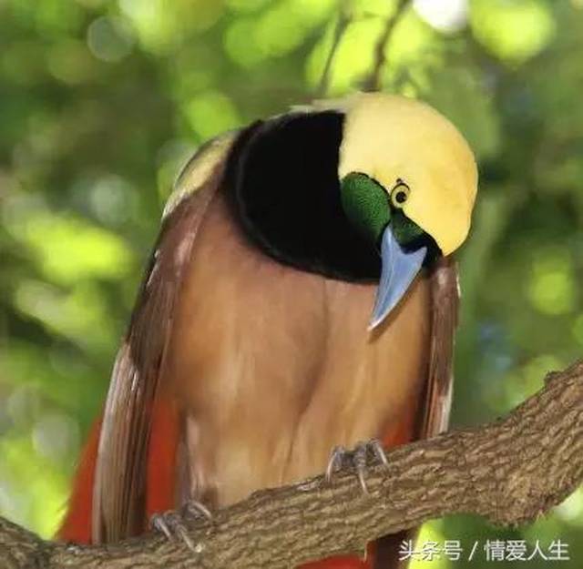 8f1c2cec19b94268b30621c43e54ed73.jpeg