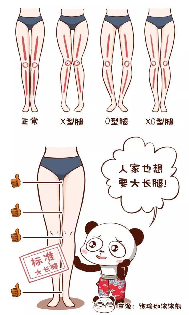 那么,腿型分为哪几种?什么样的腿是万人迷呢?