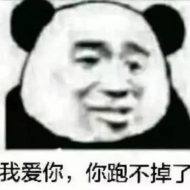 人见人爱的熊猫人表情包