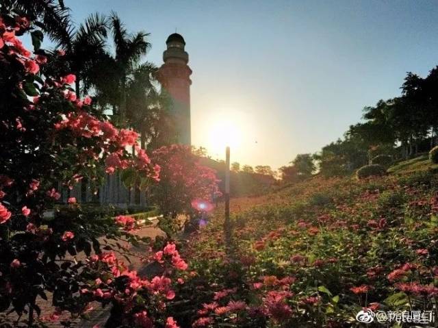 2018年6月16日厦门夜宵新闻