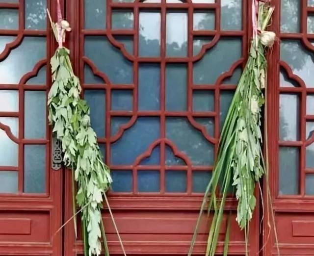 端午为什么要插艾草