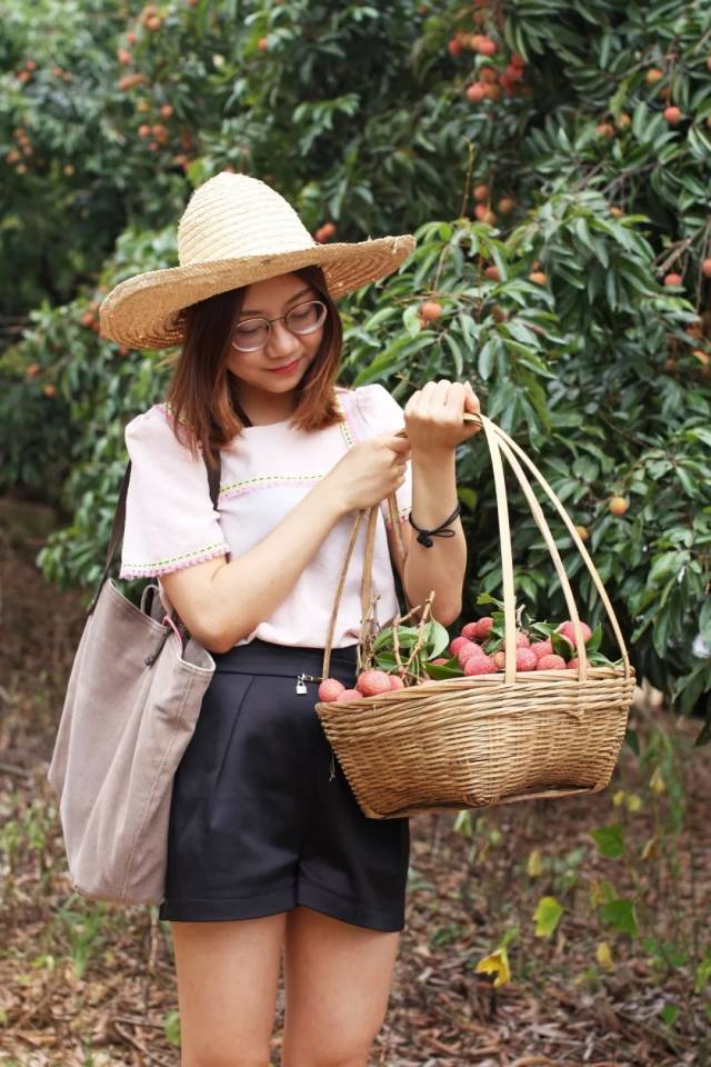 爆炸新闻:增城荔枝节!疯了,这个果场竟然价值55万一颗的挂绿免费送!