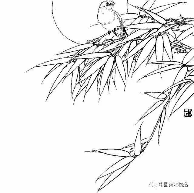 工笔花鸟白描图