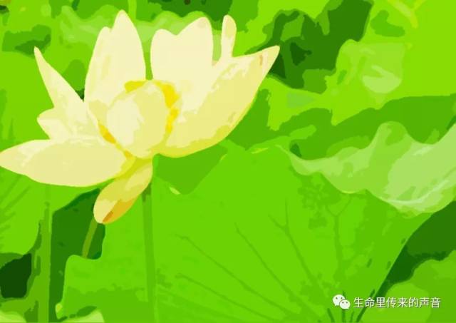 我爱你中国端午凝结中华优秀传统文化语文教学建构主义图片
