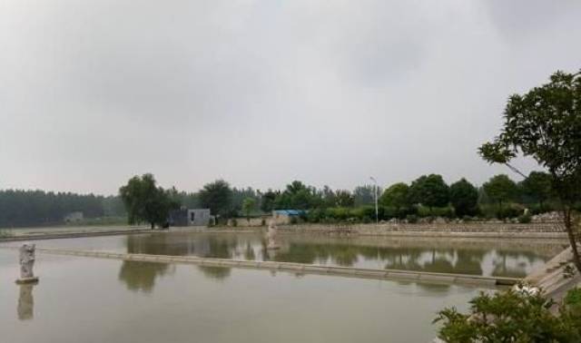 怀远县兰桥乡有志青年张杨 "荒草湖泊"孕育出"翡翠家园"