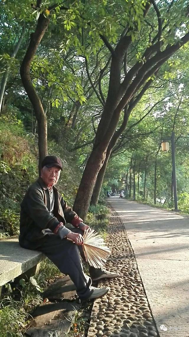 父亲,就是站在你生命前沿了望东方的那个守护神!