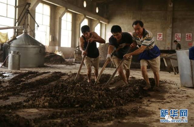 6月16日,在贵州省仁怀市茅台镇一家酒厂,工作人员在制曲车间内忙碌.