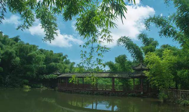 成都周边5大竹海避暑胜地,给你一个凉爽的夏天!