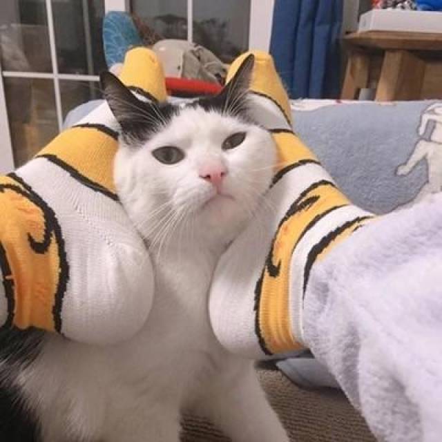 3ǳèͷ