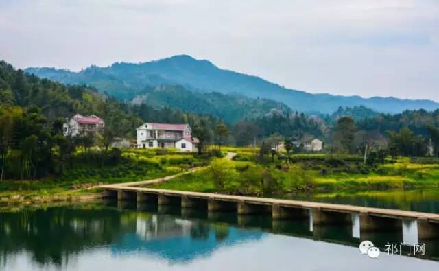 我市 祁门县芦溪乡,歙县溪头镇,屯溪区奕棋镇瑶干村, 祁门县祁山镇