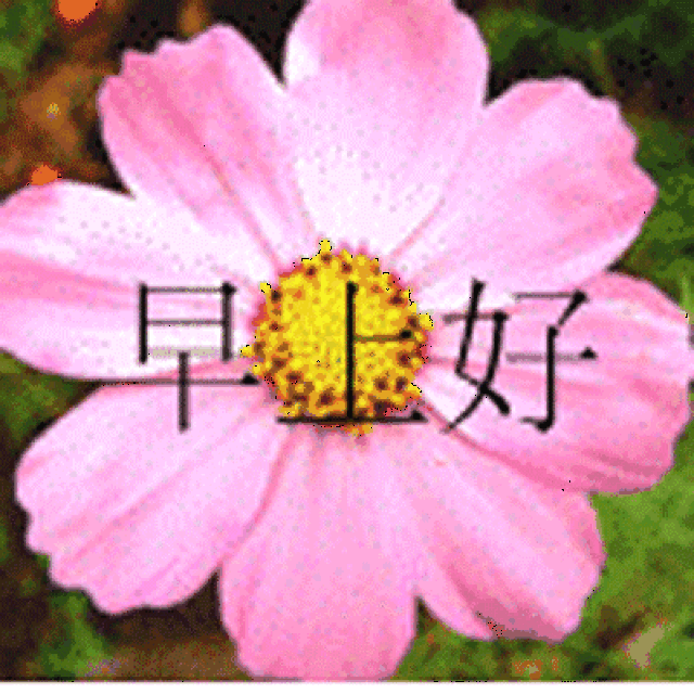早上好温馨问候动态表情图片-搞笑频道-手机搜狐