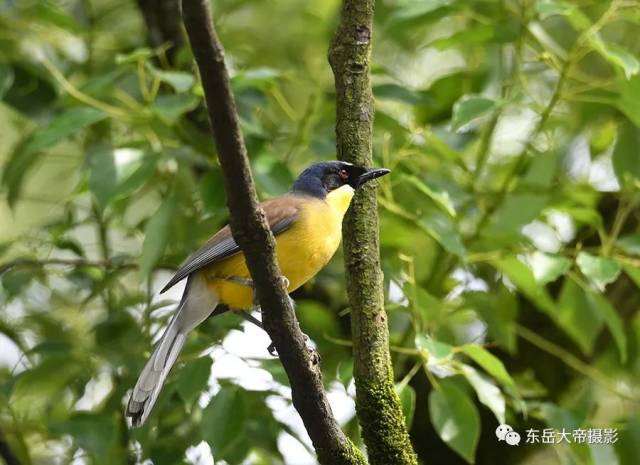 是世纪之谜还是世纪之遗？