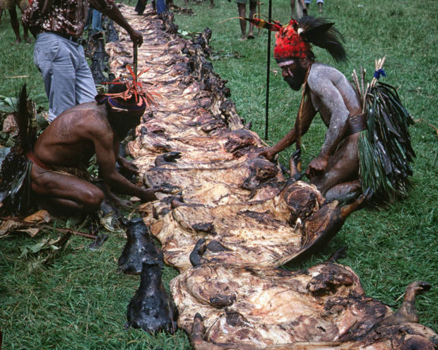 其中,巴布亚新几内亚东北的新不列颠岛上,人肉如同今天的猪肉一样,在