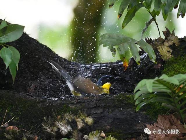 是世纪之谜还是世纪之遗？