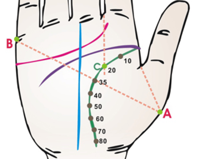 2 生命线上20岁点:食指和中指谷间中央往下作垂线与生命线相交的点(c