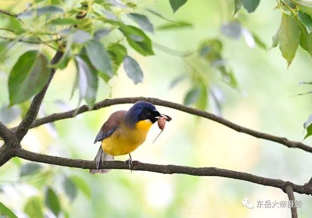 是世纪之谜还是世纪之遗？