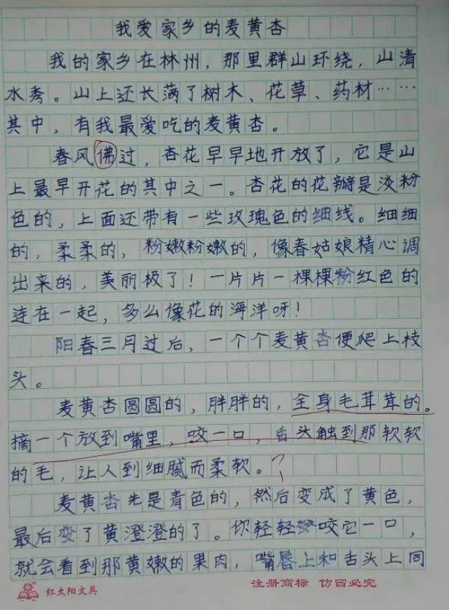 【林州一实小《星星之光》总第126期】安全教育大宣讲 关爱青少年儿童