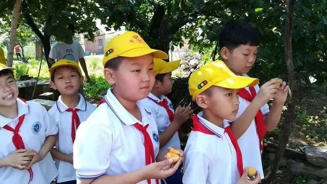 【林州一实小《星星之光》总第126期】安全教育大宣讲 关爱青少年儿童