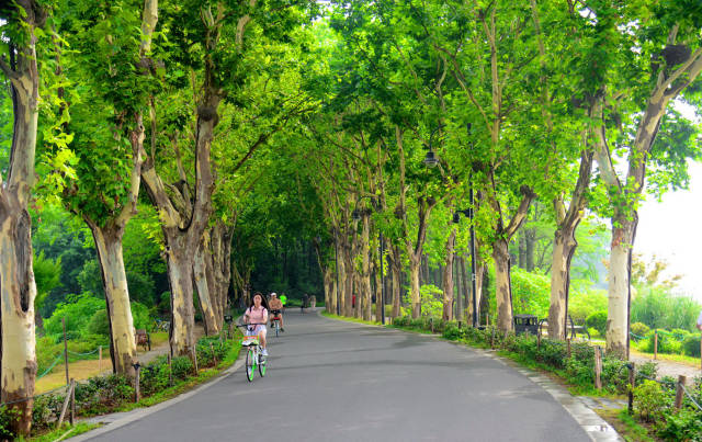 骑行东湖绿道,一路风景一路歌