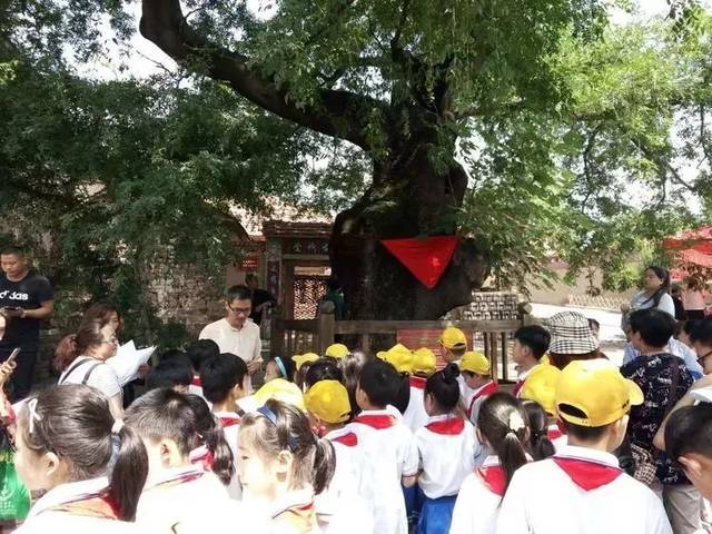 【林州一实小《星星之光》总第126期】安全教育大宣讲 关爱青少年儿童