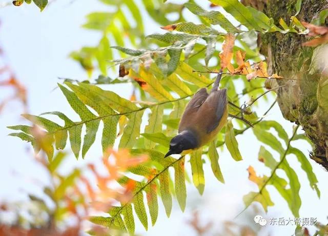 是世纪之谜还是世纪之遗？