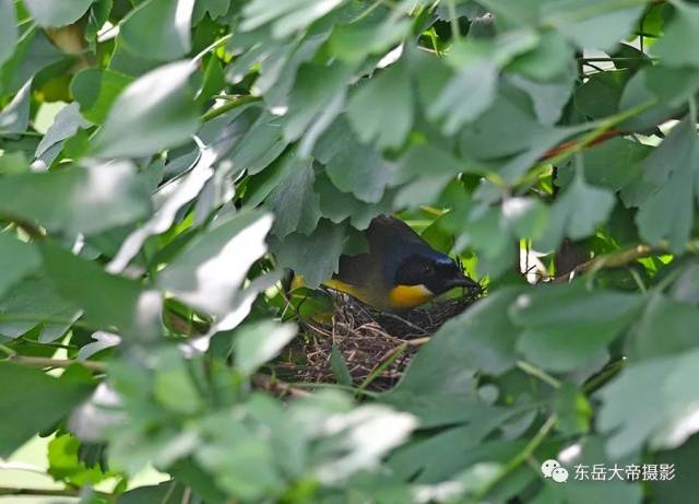 是世纪之谜还是世纪之遗？