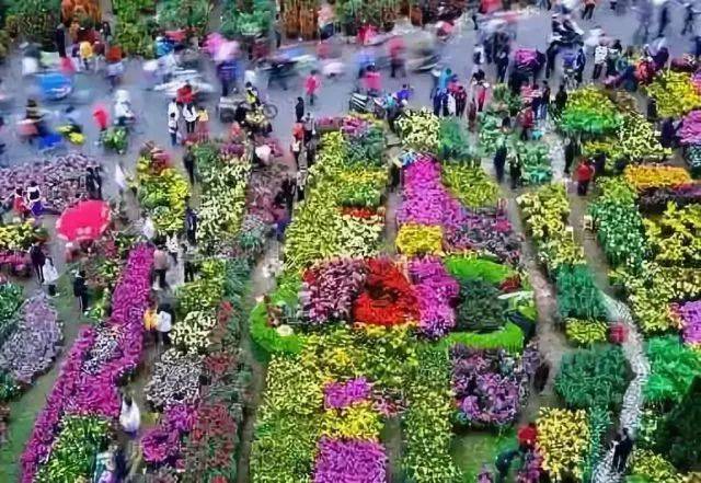 《遇见宜良》—花街节主打歌,你唱过了吗?