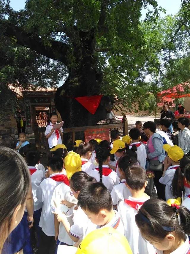 【林州一实小《星星之光》总第126期】安全教育大宣讲 关爱青少年儿童