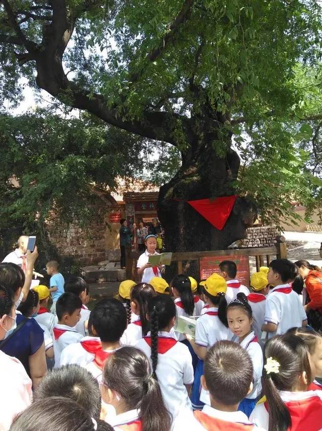 【林州一实小《星星之光》总第126期】安全教育大宣讲 关爱青少年儿童