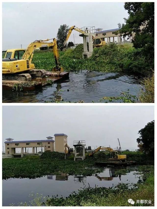 等水面垃圾杂物,以及组织对练江流域古埕段沿岸临时搭建物进行拆