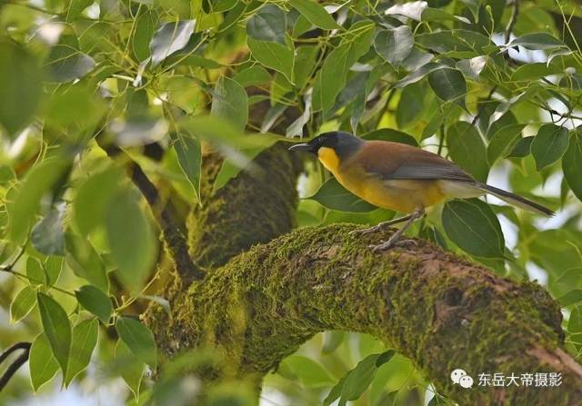 是世纪之谜还是世纪之遗？