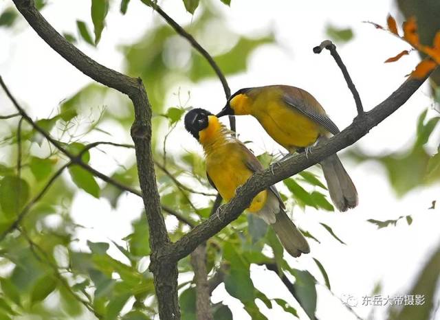 是世纪之谜还是世纪之遗？