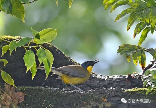 是世纪之谜还是世纪之遗？