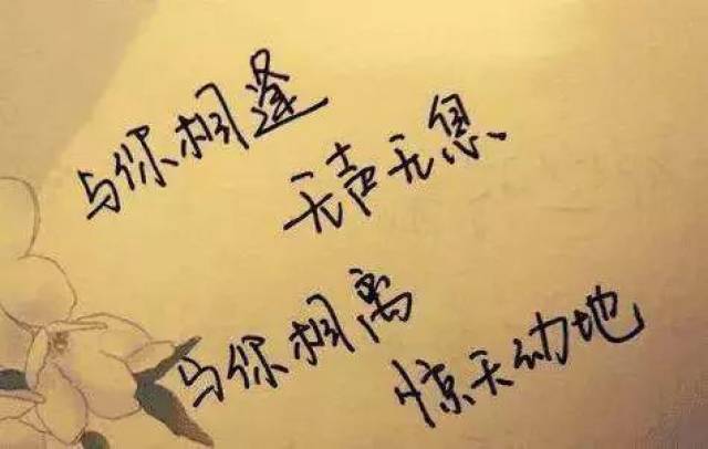 说说心情短语:能够相伴多久,又何必强求