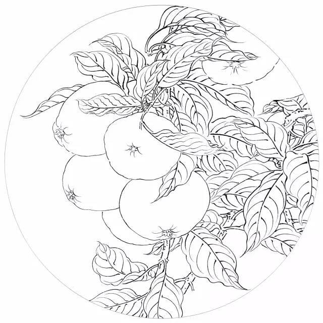 吉祥寓意花鸟白描