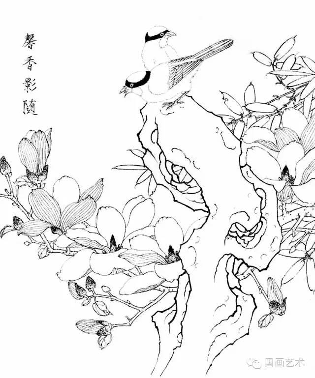 白描写生画谱:玉兰