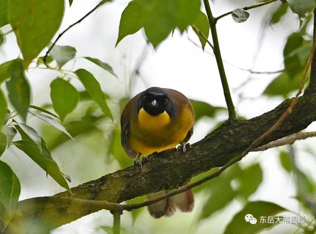 是世纪之谜还是世纪之遗？