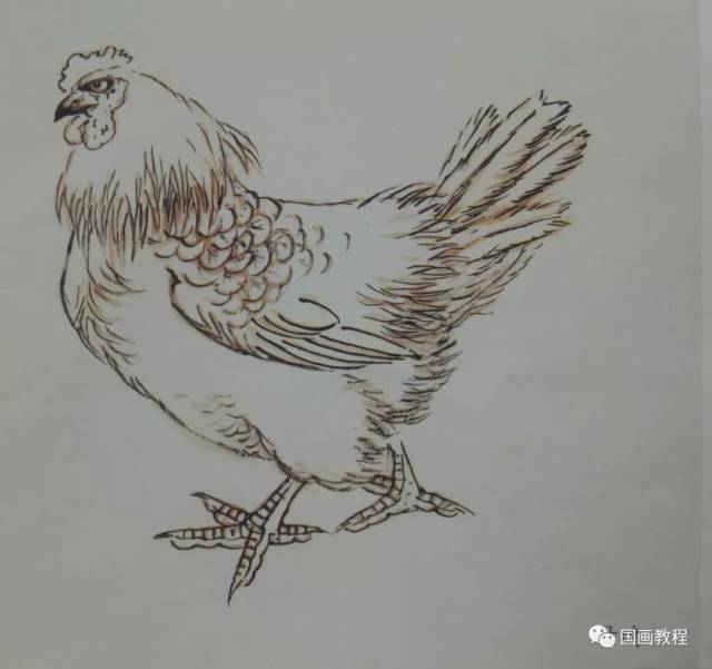 写意鸡的画法—基础画法