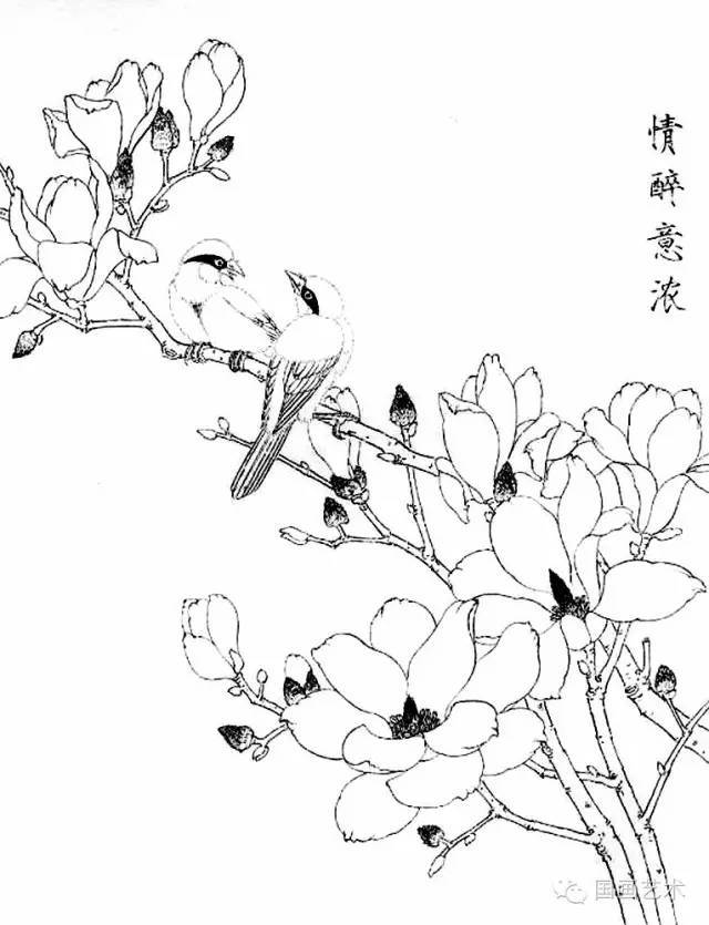 白描写生画谱:玉兰