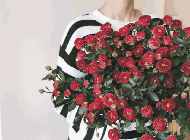 leaves flowers叶子花艺工作室,因为喜欢绿色喜欢叶子而冒出的开工作