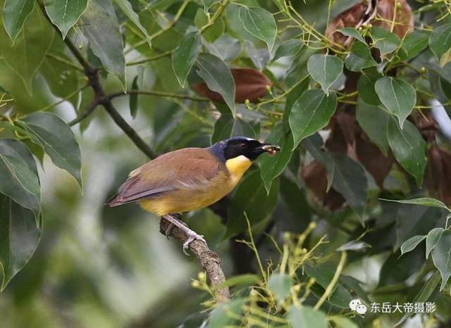 是世纪之谜还是世纪之遗？