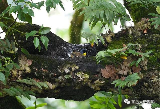 是世纪之谜还是世纪之遗？