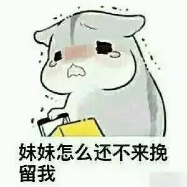 妹妹怎么还不来挽留我