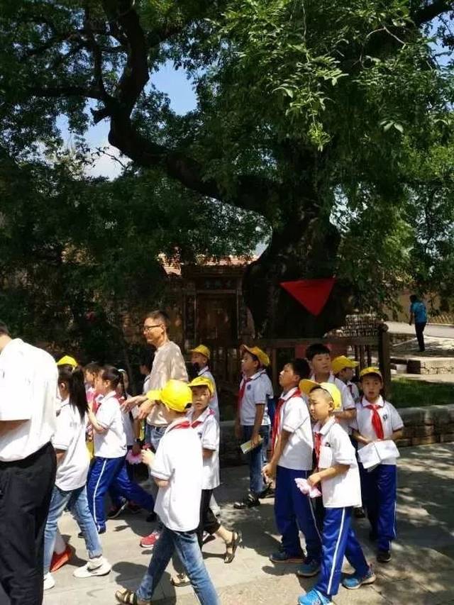 【林州一实小《星星之光》总第126期】安全教育大宣讲 关爱青少年儿童