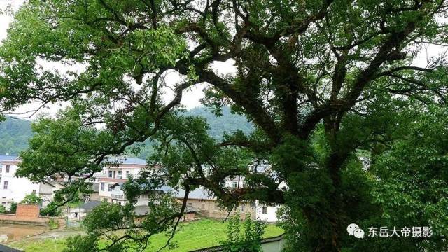 是世纪之谜还是世纪之遗？